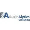 Businalytics Consulting Private Limited logo