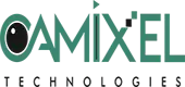 Camixel Technologies Private Limited logo