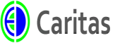 Caritas Eco Systems Private Limited logo