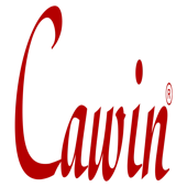 Cawin Electric India Private Limited logo