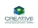 Creative Synergies Consulting India Private Limited logo