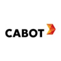 Cabot India Limited logo