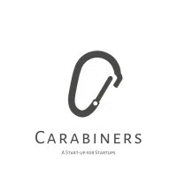 Carabiners International Private Limited logo