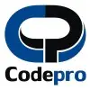Codepro Systems Private Limited logo