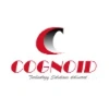 Cognoid Solution Private Limited logo