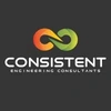 Consistent Engineering Consultants Private Limited logo