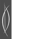 Dangayach Infra Limited logo