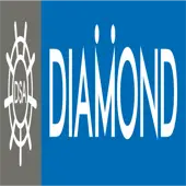 Diamond Shipping Agencies Private Limited logo