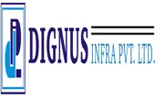 Dignus Infra Private Limited logo