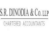 Dinodia Estates And Investments Private Limited logo