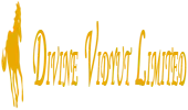 Divine Vidyut Limited logo