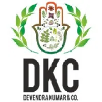 Dkc Tradex Private Limited. logo