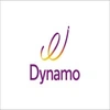 Dynamo Consulting Services Limited logo