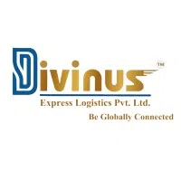 Divinus Express Logistics Private Limited logo