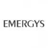 Emergys Software Private Limited logo