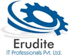 Erudite It Professionals Private Limited logo