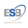 Esb Technology Private Limited logo
