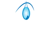Essentia Pharmaceuticals Private Limited logo