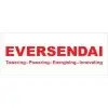 Eversendai Construction Private Limited logo