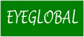 Eyeglobal Solutions Private Limited logo