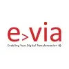 Evia Information Systems Private Limited logo