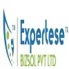 Expertese Bizsol Private Limited logo