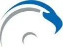 Falcon Technologies Private Limited logo