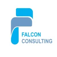 Falcon Hr Consulting Private Limited logo