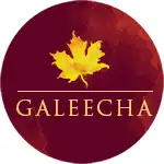 Galeecha India Private Limited logo