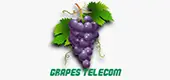 Grapestel Solutions Private Limited logo