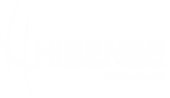 Hisense Global Foodz Private Limited logo