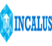 Incalus Management India Private Limited logo