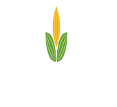 India Cocoa Private Limited logo