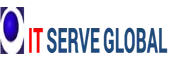 It Serve Global Private Limited logo