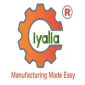 Iyalia Engineering Solutions India Private Limited logo