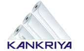 Kankriya Agencies Private Limited logo