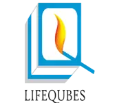 Lifequbes Shelters Private Limited logo