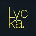 Lycka India Trading Private Limited logo