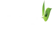 Majestic Commodities Private Limited logo