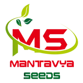 Mantavya Seeds Private Limited logo