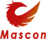 Mascon Computer Services Pvt Ltd logo