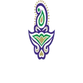 Mesco Aerospace Limited logo