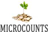 Microcounts Info System Private Limited logo