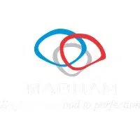 Magnam Netlink Private Limited logo