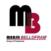 Bellofram Instruments (India) Private Limited logo