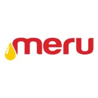 Mount Meru India Private Limited logo