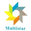 Multi Star Marine & Shipping Services Private Limited logo