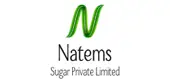 Natems Power Private Limited logo