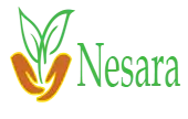 Nesara Creationss Private Limited logo