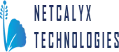 Netcalyx Software Technologies Private Limited logo
